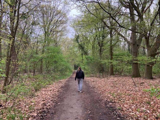 Stacaravan Huren In Het Hart Van Bosrijk Drenthe Op Recreatiepark De Tien Heugten Schoonloo Екстер'єр фото