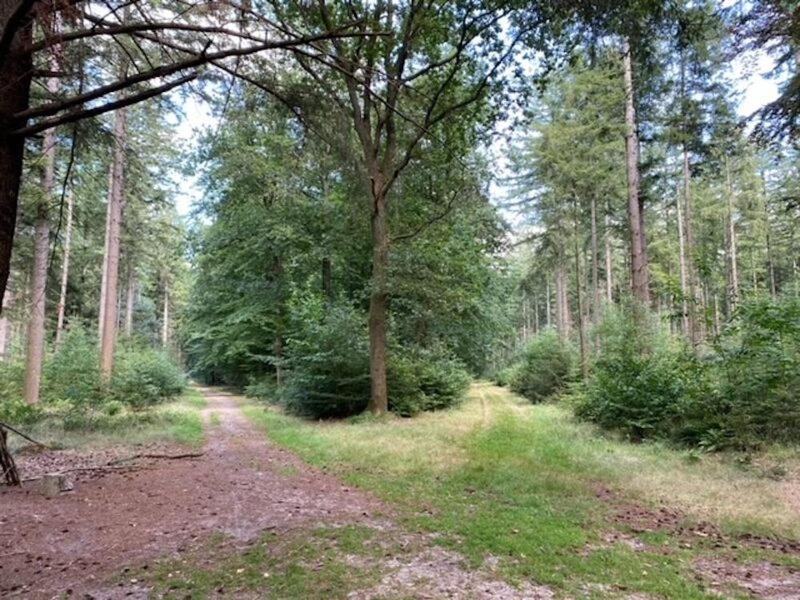 Stacaravan Huren In Het Hart Van Bosrijk Drenthe Op Recreatiepark De Tien Heugten Schoonloo Екстер'єр фото