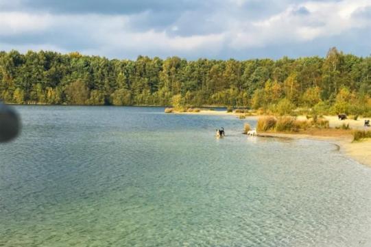 Stacaravan Huren In Het Hart Van Bosrijk Drenthe Op Recreatiepark De Tien Heugten Schoonloo Екстер'єр фото